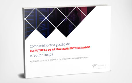 Como melhorar a gestão de ESTRUTURAS DE ARMAZENAMENTO DE DADOS e reduzir custos